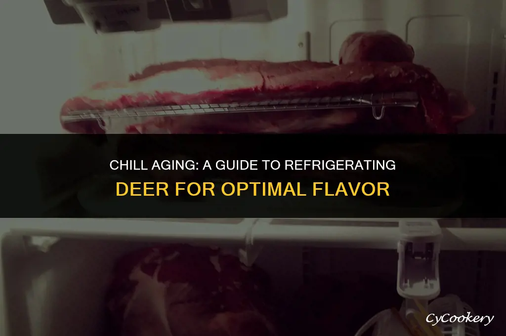 how to age a deer in a refrigerator