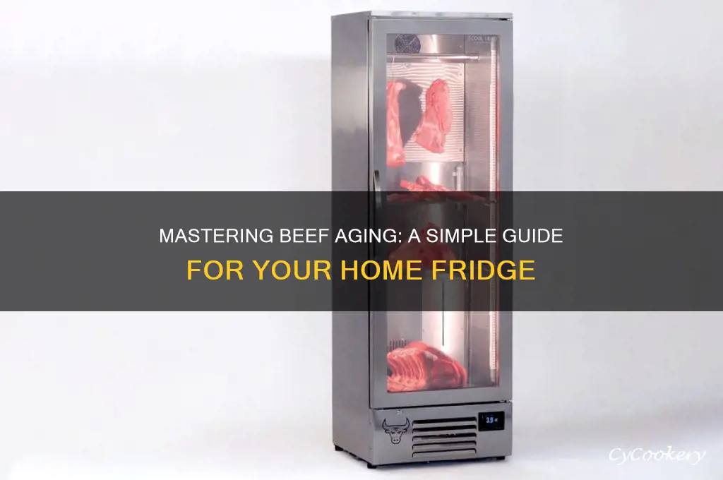 how to age beef in a refrigerator