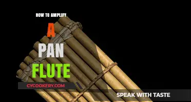 Amplifying a Pan Flute: Strategies for Enhancing Its Volume
