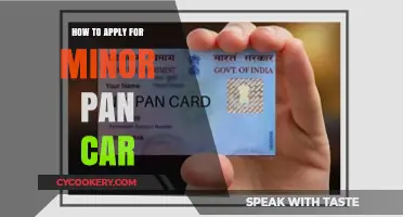 Easy Steps to Apply for a Minor's PAN Card