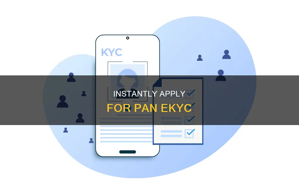 how to apply pan ekyc