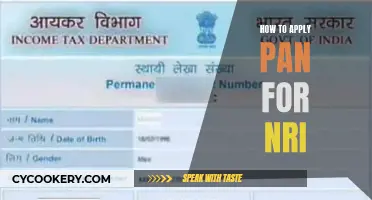 A Simple Guide to Applying for PAN as an NRI