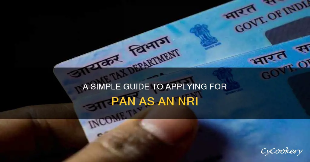 how to apply pan for nri