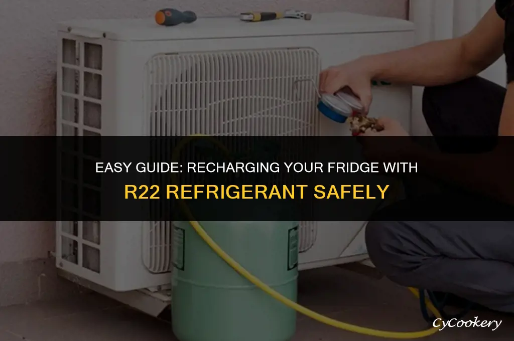 how to apply r22 refrigerant into the refrigerator