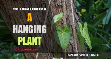 Attach a Drain Pan to Your Hanging Plant in Easy Steps