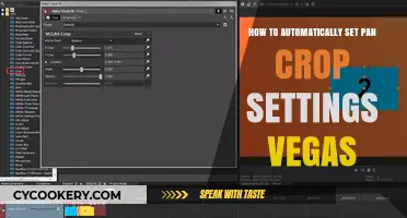 Vegas Pro: Auto Pan and Crop Settings Explained