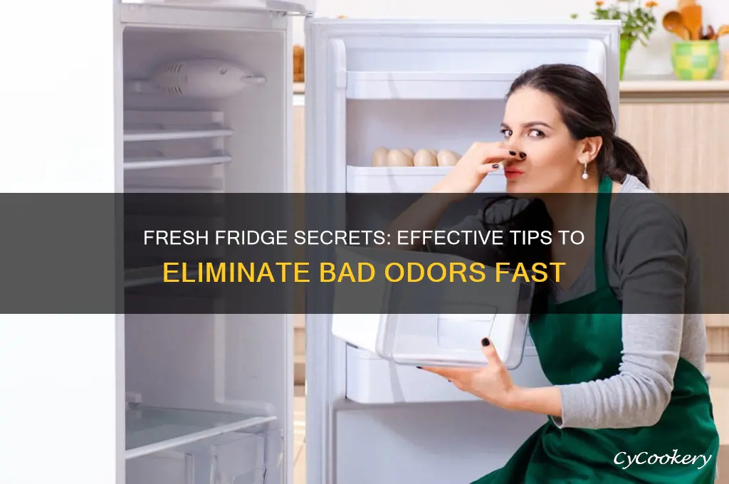 how to avoid bad smell from refrigerator