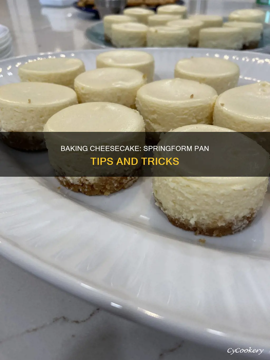 how to bake a cheesecake in a springform pan