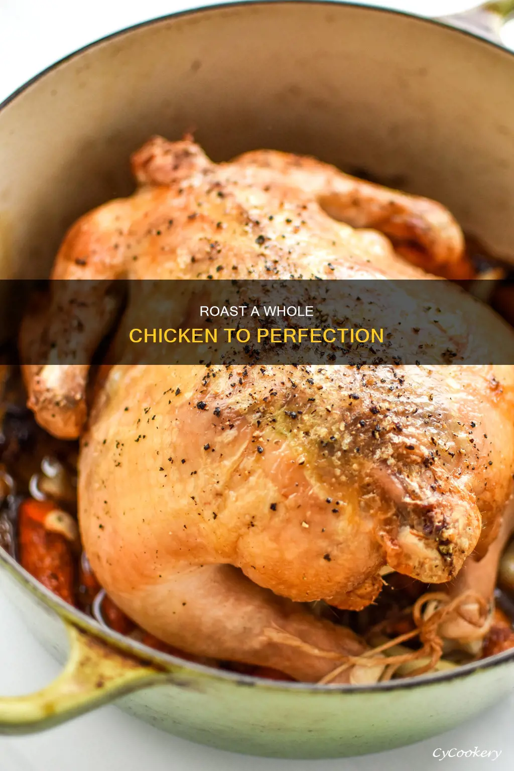 how to bake a whole chicken in a roasting pan