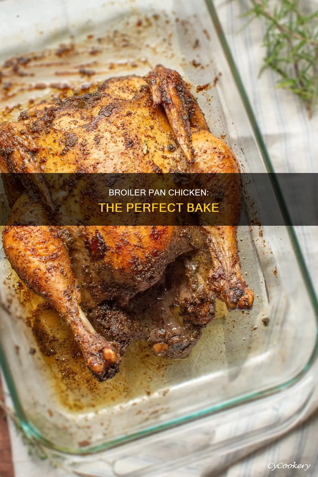 how to bake chicken in a broiler pan
