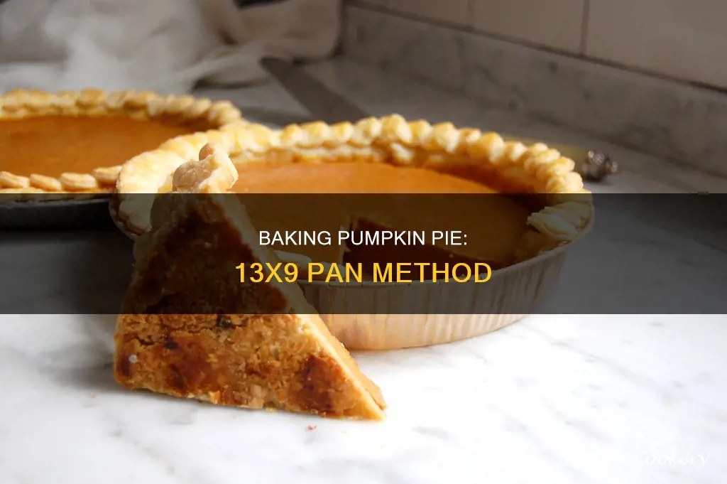 how to bake pumpkin pie in 13x9 pan