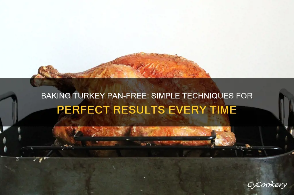 how to bake turkey without using a pan