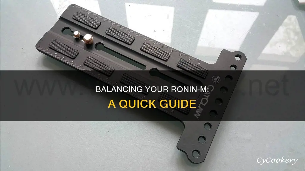 how to balance pan access ronin m