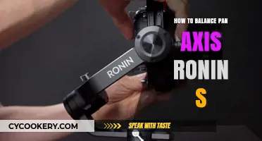 Balancing Your Ronin S: Tips for Perfect Pan Axis