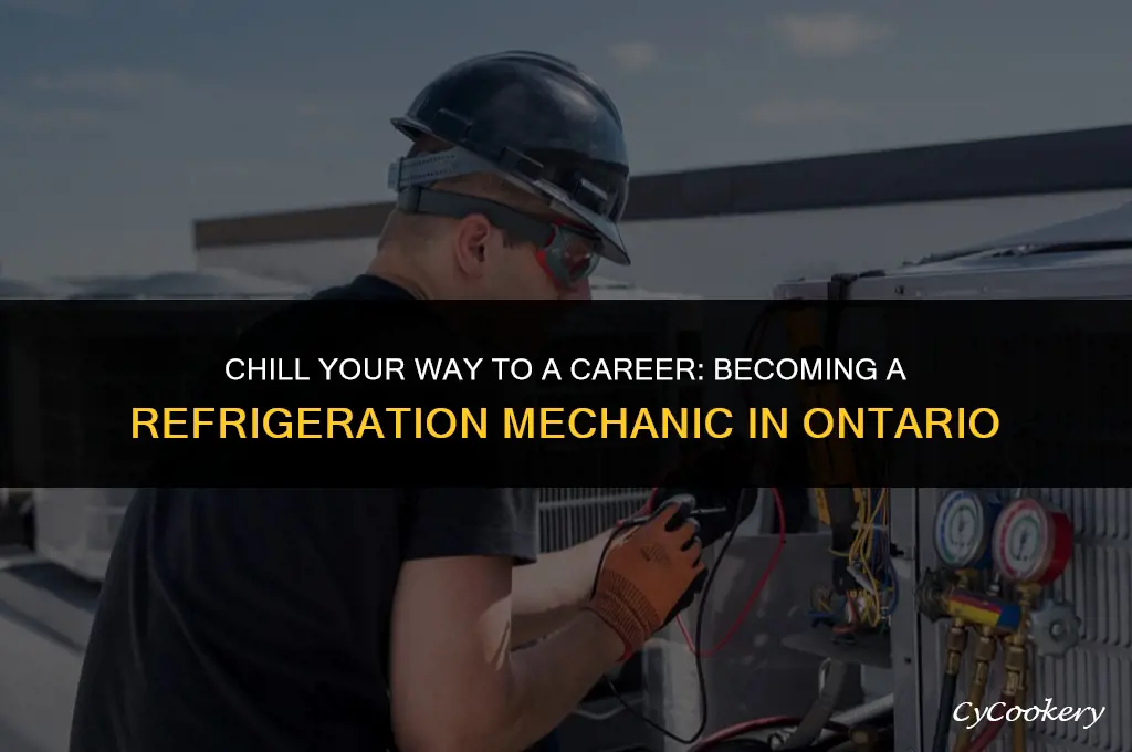 how to become a refrigeration mechanic in ontario