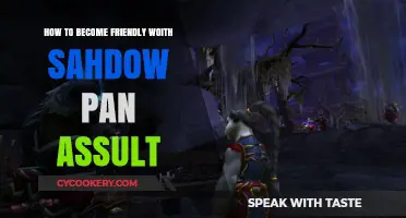 Mastering Shadow Pan Assault: A Friendly Guide