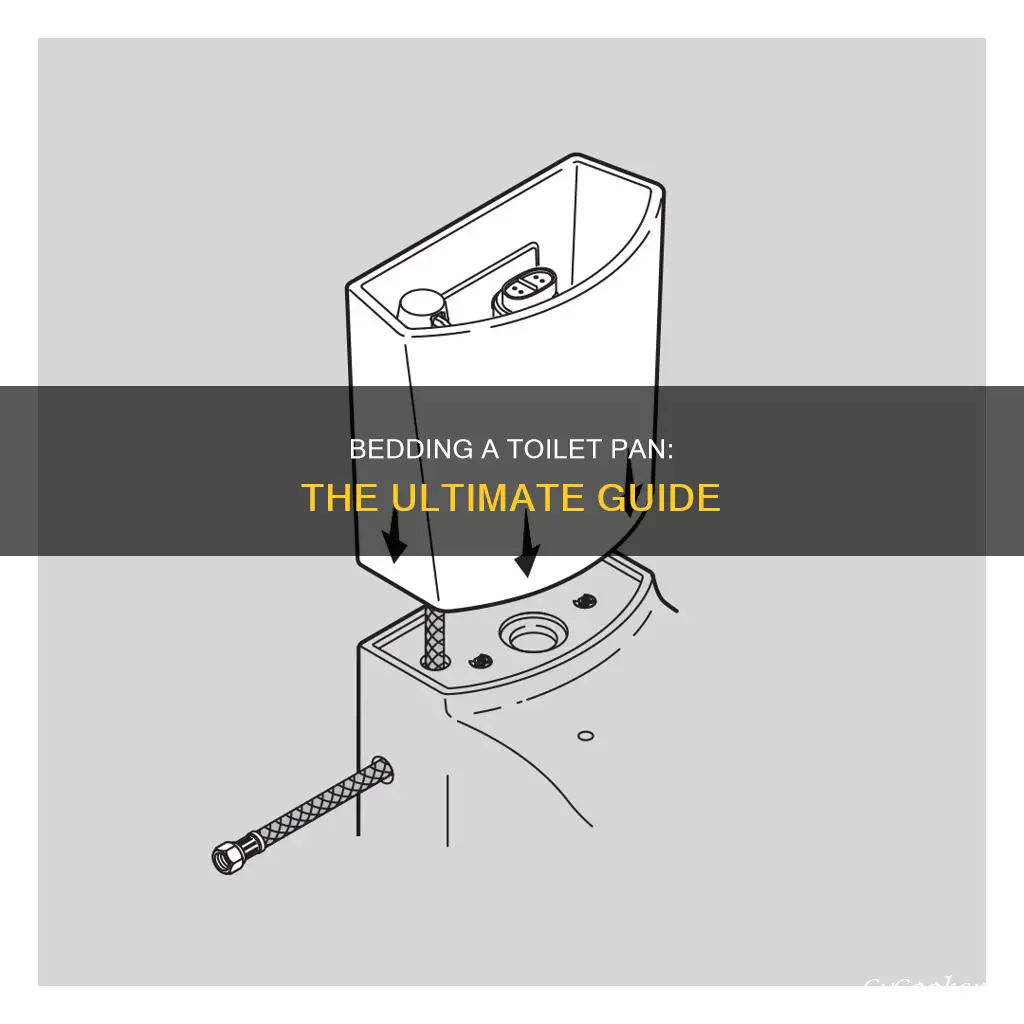 how to bed down a toilet pan