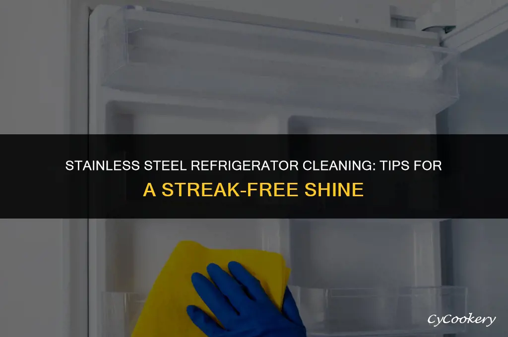 how to best clean a stainless steel refrigerator