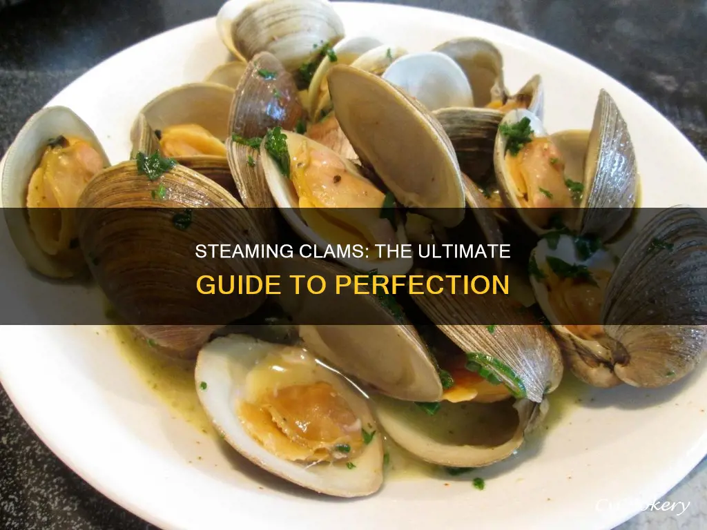 how to best cook steamer clams