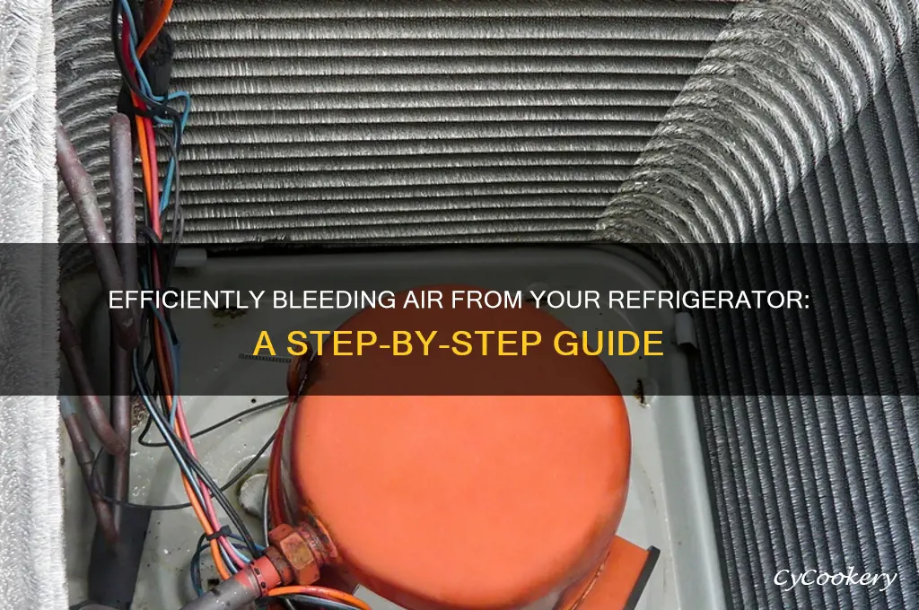 how to bleed air out of refrigerator