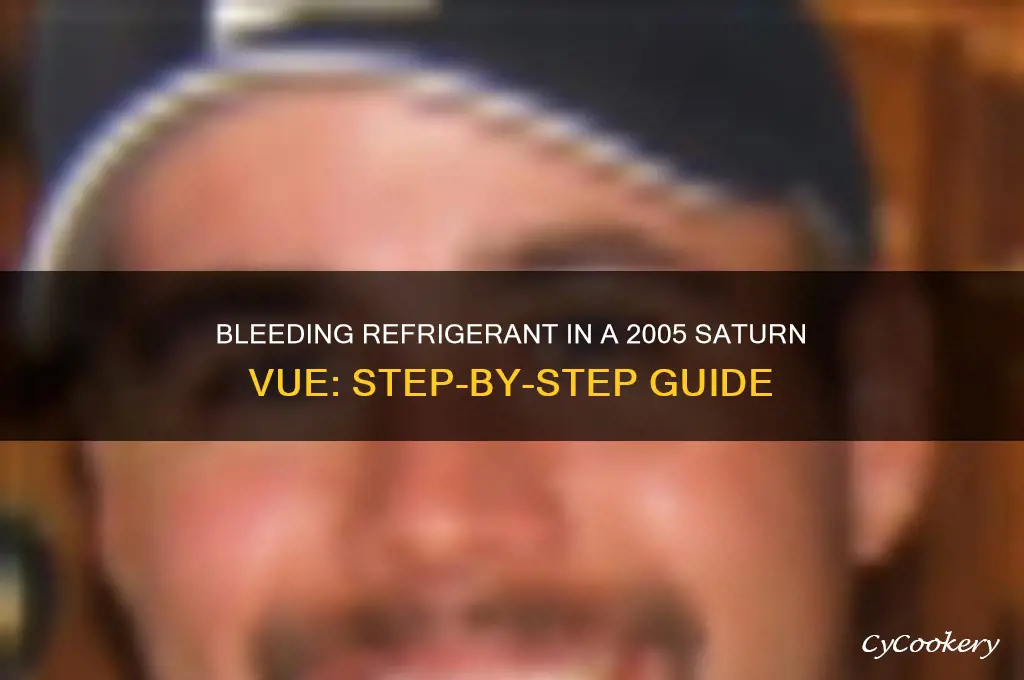 how to bleed refrigerant 2005 saturn vue