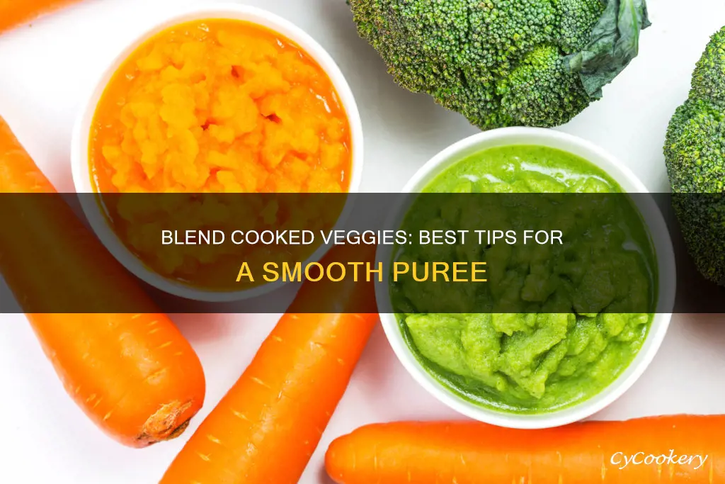 how to blend cooked veggies in a blender