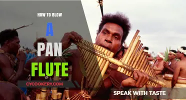 Mastering the Pan Flute: Techniques for Beginners