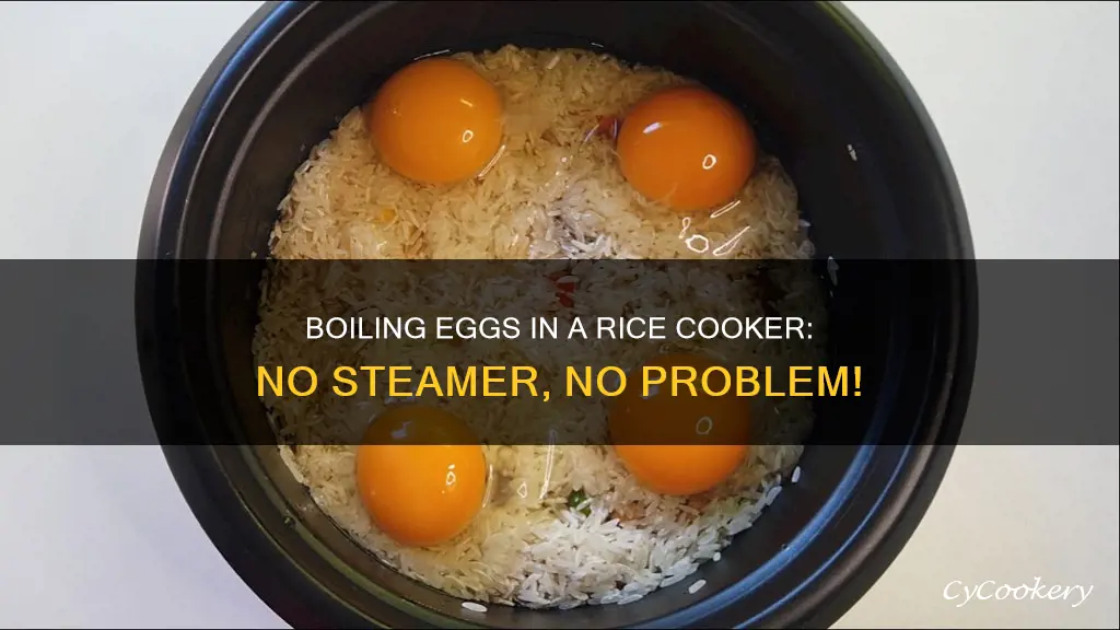 how to boil eggs in rice cooker without steamer