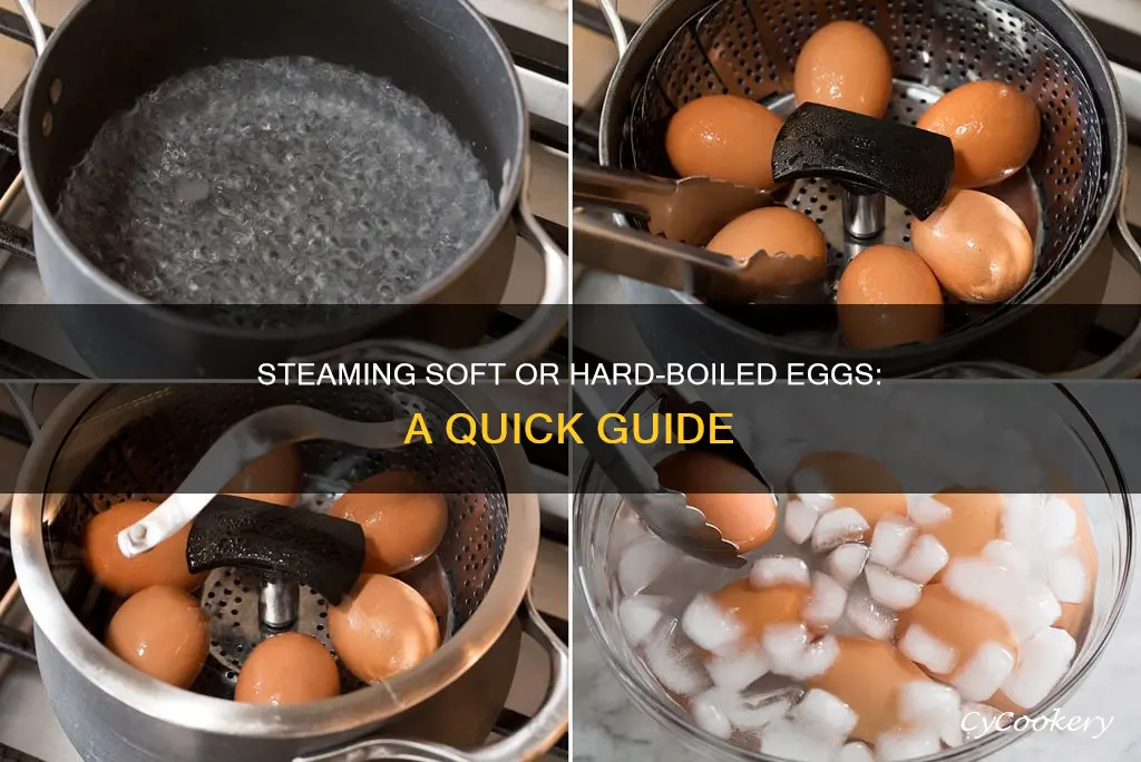 how to boil eggs in steam cooker