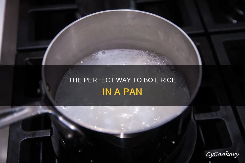 how to boil rice in a pan