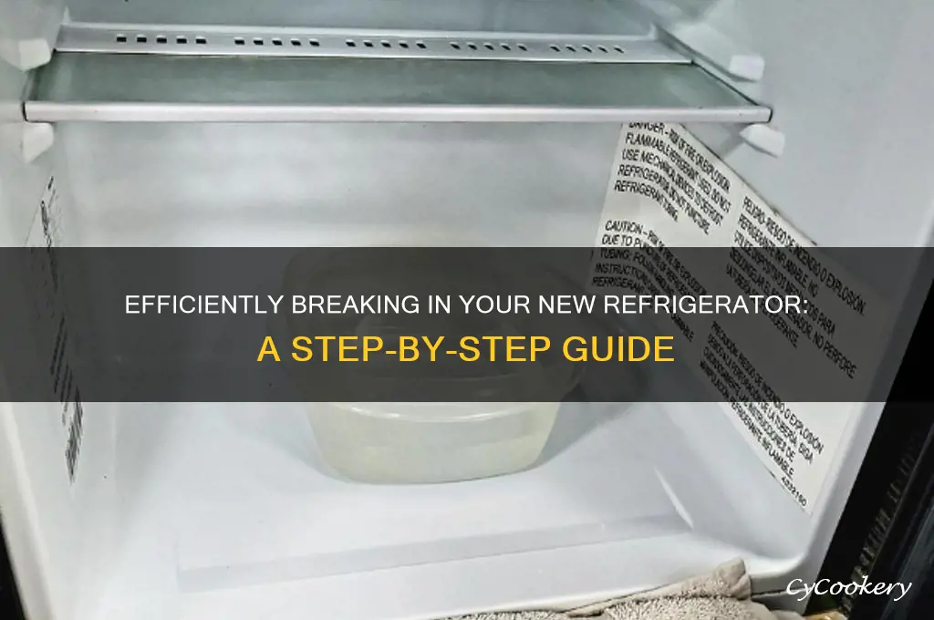 how to break in a new refrigerator