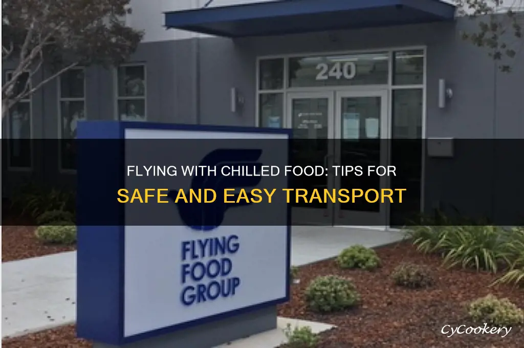 how to bring refrigerated food on plane