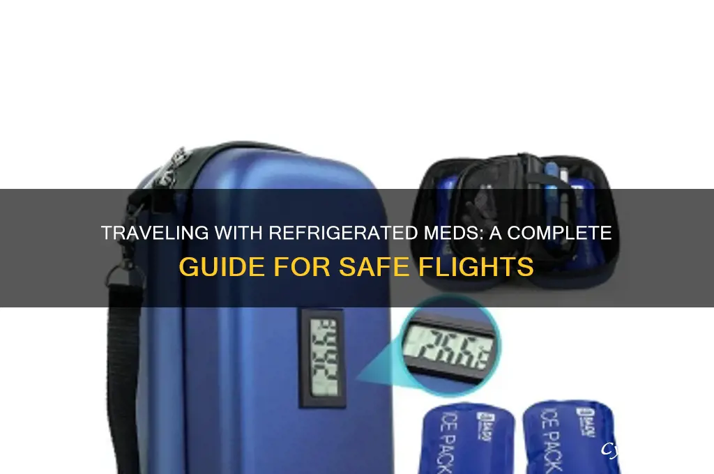 how to bring refrigerated medicine on a plane