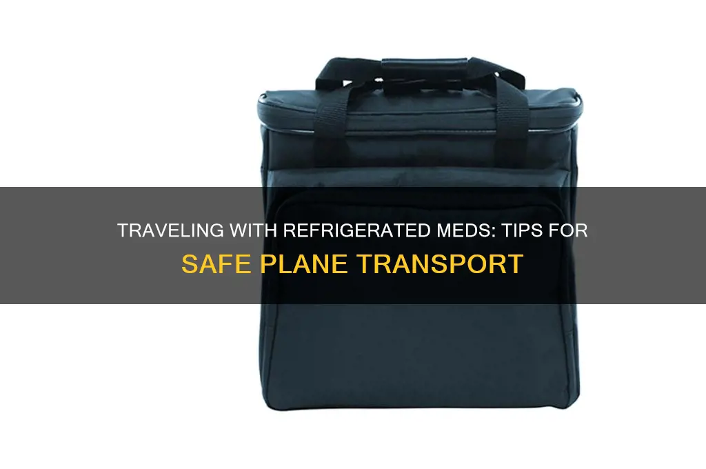 how to bring refrigerated medicine on plane