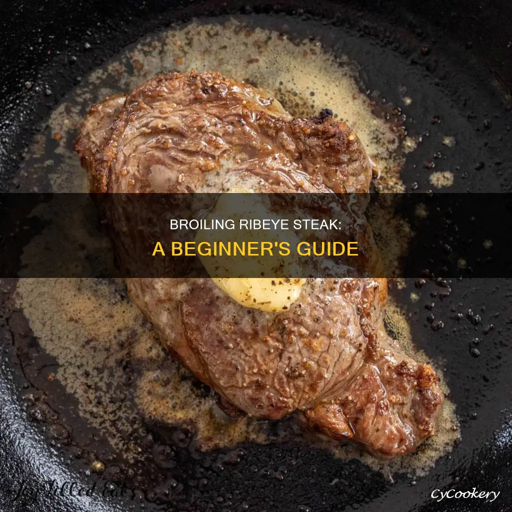 how to broil a ribeye steak on broiler pan