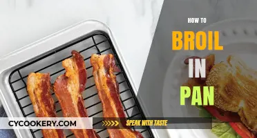 The Perfect Broil: Pan-Broiling Techniques for Beginners