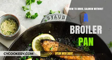 Broiling Salmon: Hacks for Perfectly Cooked Fish