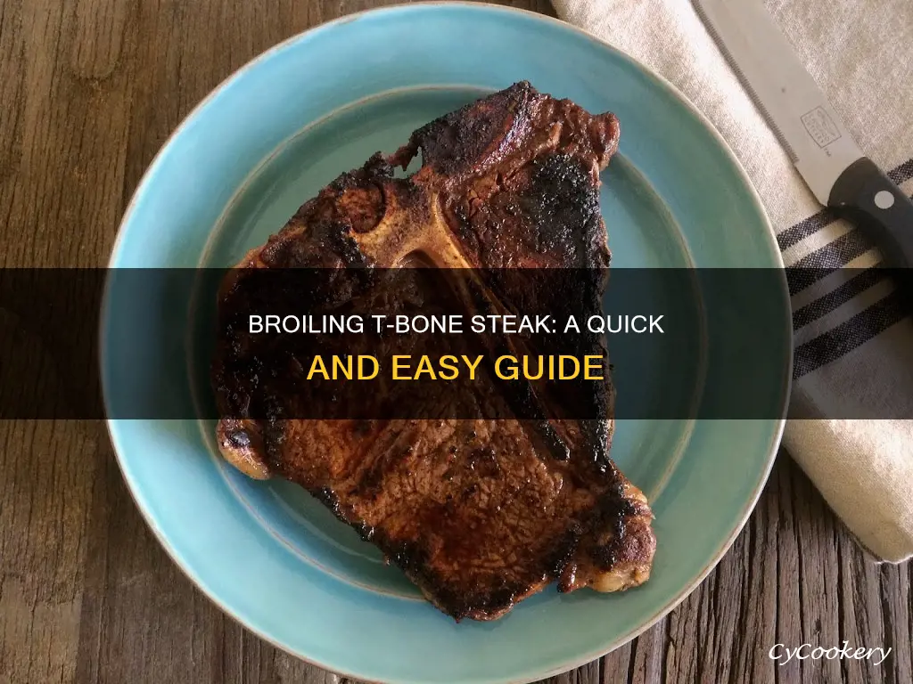 how to broil t bone on a broiler pan
