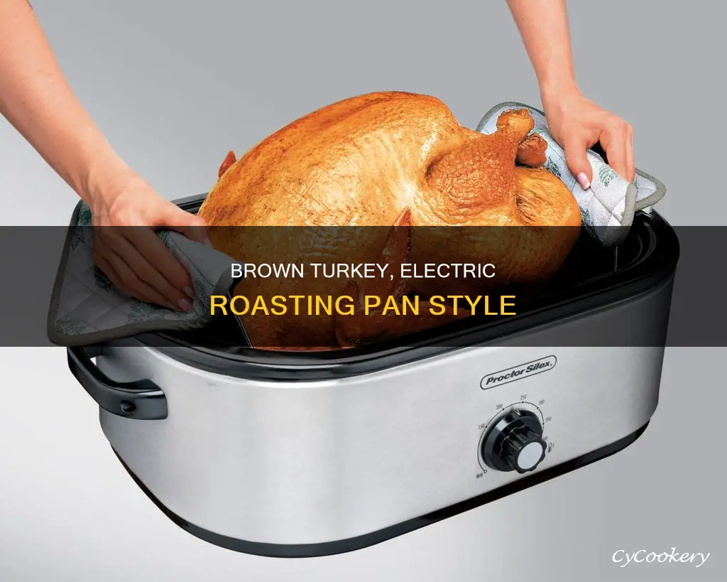 how to brown a turkey in an electric roasting pan