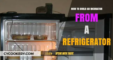 Chill to Hatch: DIY Incubator from Your Old Fridge