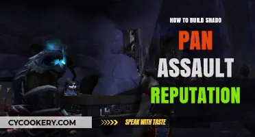 Building Shado-Pan Assault Reputation: A Quick Guide