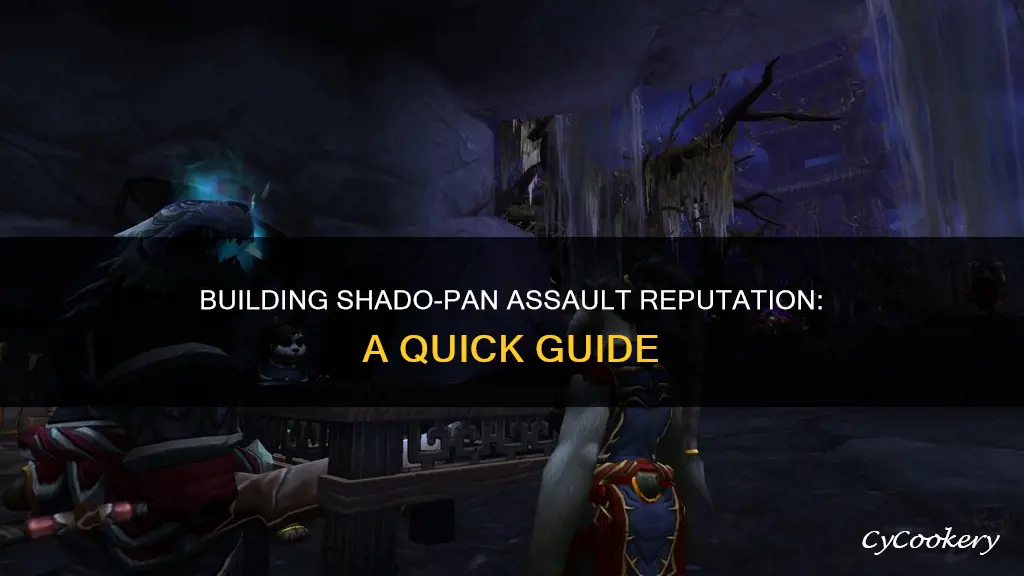 how to build shado pan assault reputation