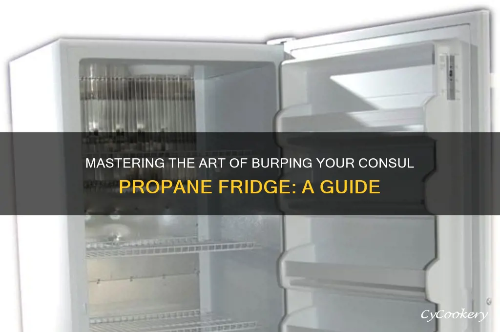 how to burp a consul propane refrigerator