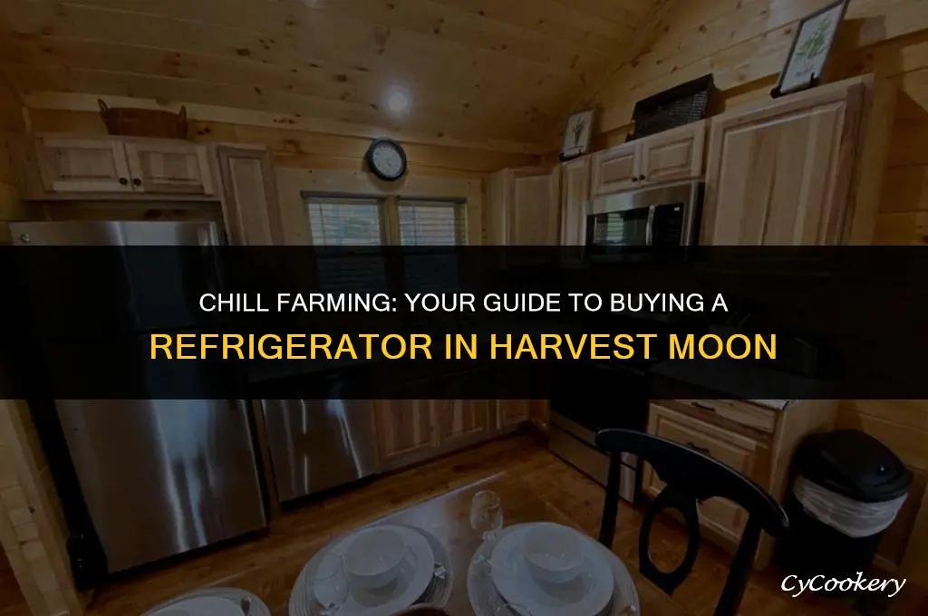 how to buy a refrigerator in harvest moon