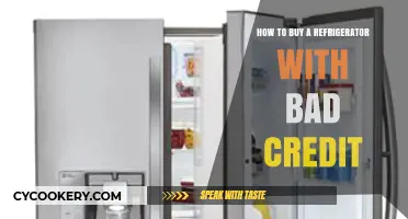 Smart Shopping: Buying a Refrigerator with Bad Credit