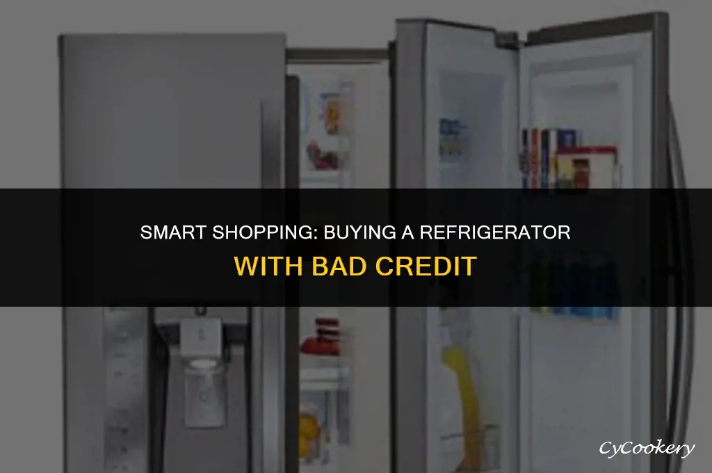 how to buy a refrigerator with bad credit