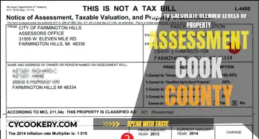 Understanding Property Assessment Levels in Cook County