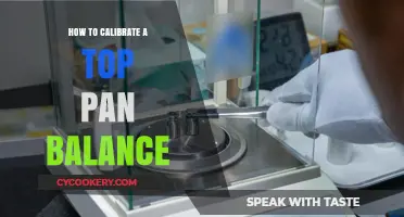 Calibrating a Top Pan Balance: Steps to Accuracy