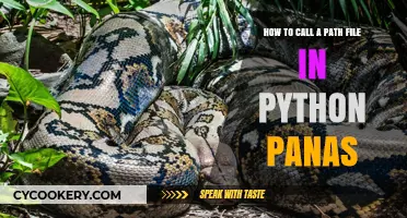 Accessing Path Files with Python: An Easy Guide to Panads