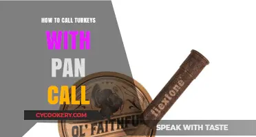 Mastering the Pan Call: Turkey Calling Techniques